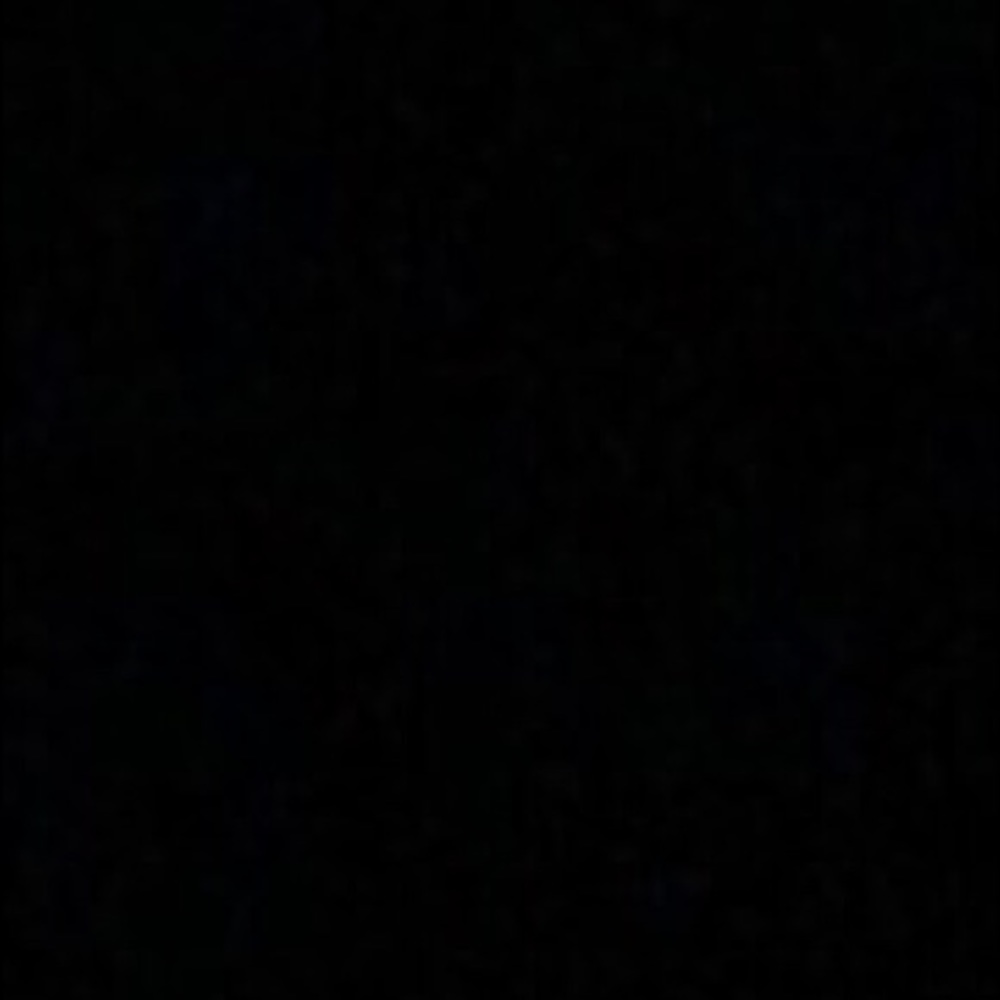 Meet your Posher, Finley